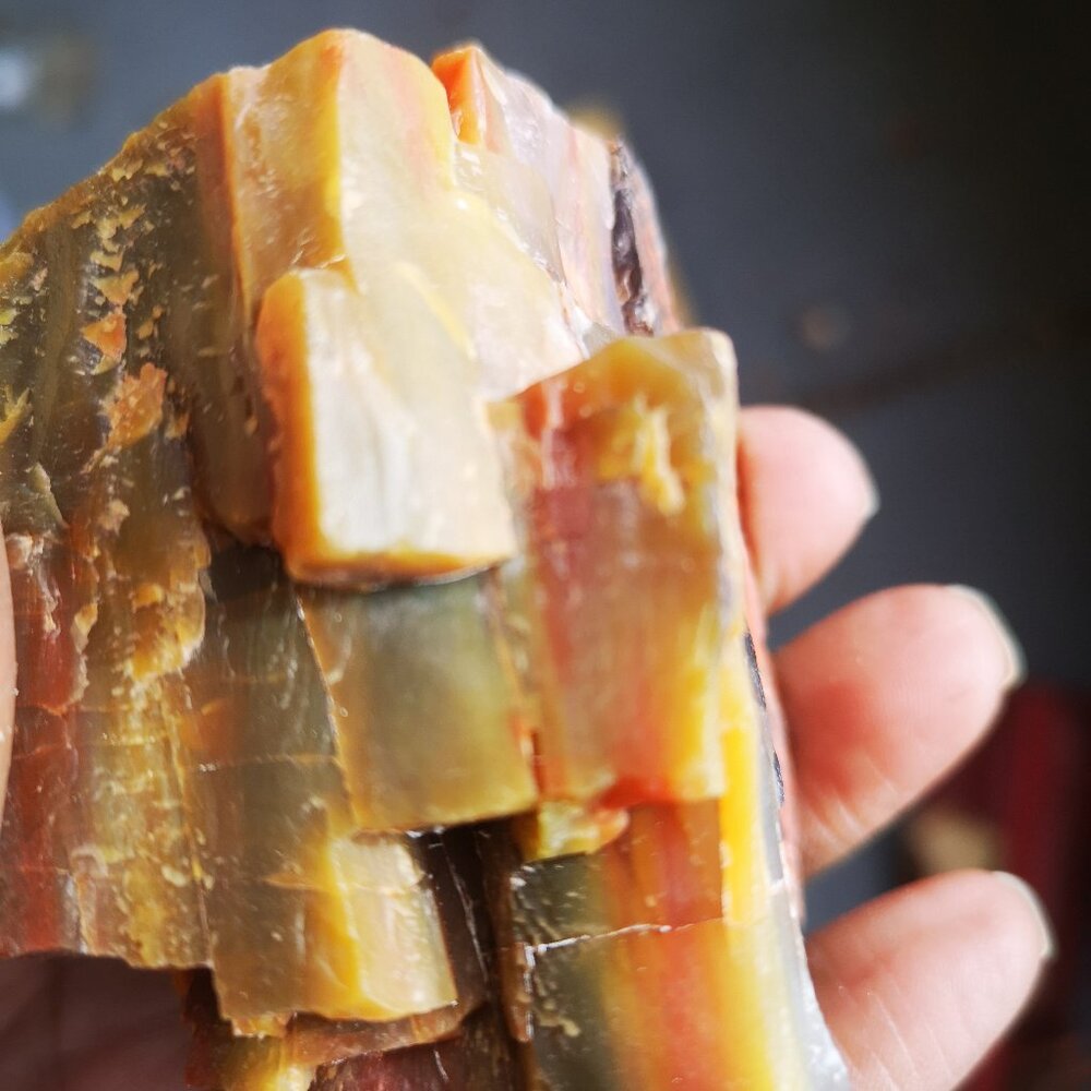 Rainbow Petrified Wood